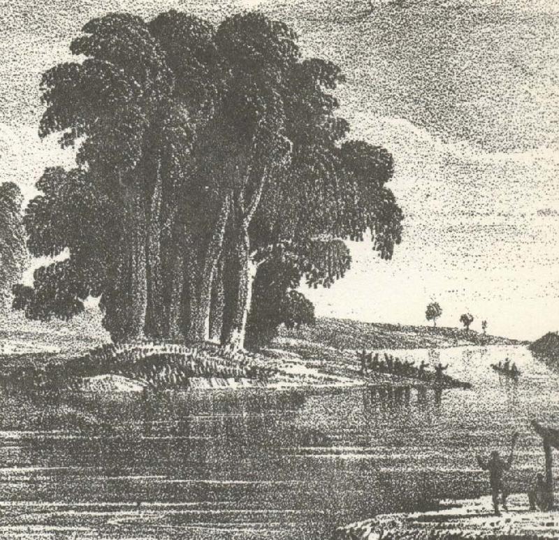 william r clark charles sturt den australiska utorskningens fader upptackte darlingfloden 1828 och foljde den nedstroms till dess sammanflode med murtay floden. Norge oil painting art